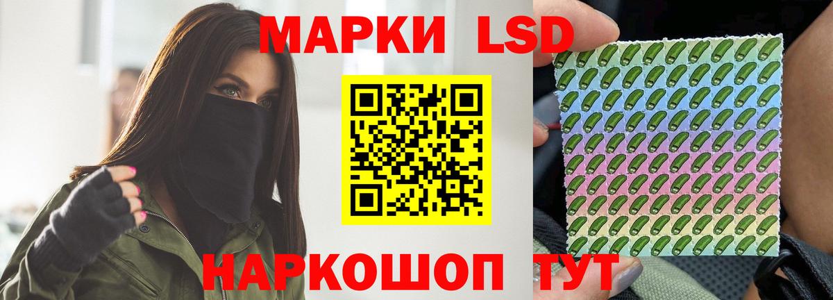 Электрогорск  omg маркетплейс  ЛСД экстази ecstasy  Вход с VPN  Лсд 25 экстази ecstasy 