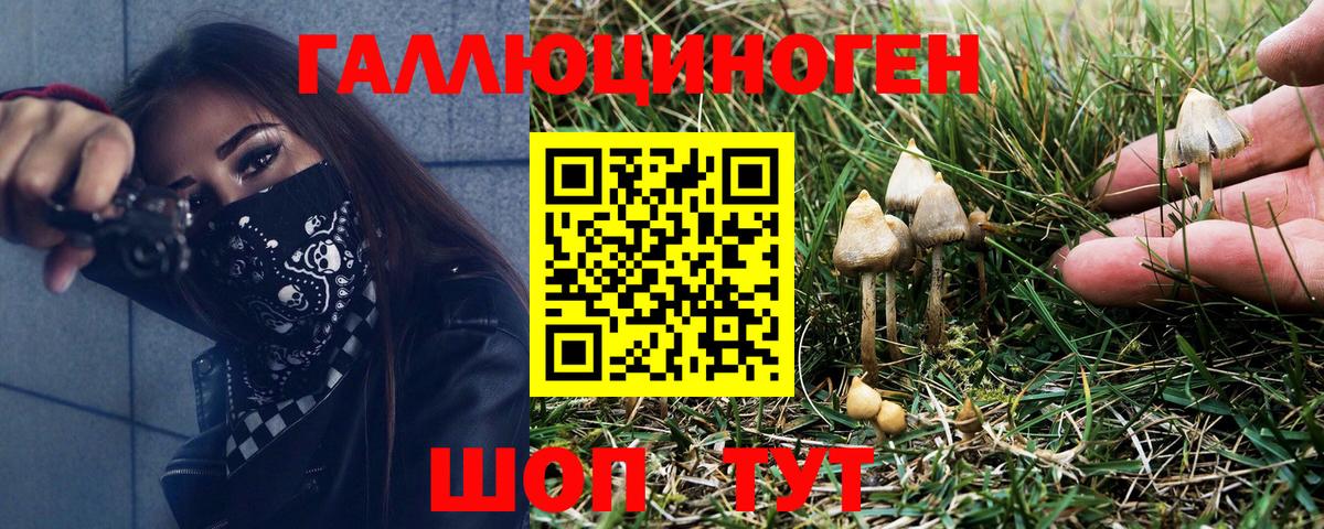Псилоцибиновые грибы Psilocybe  Псилоцибиновые грибы Psilocybine cubensis  Электрогорск  Вход с VPN 