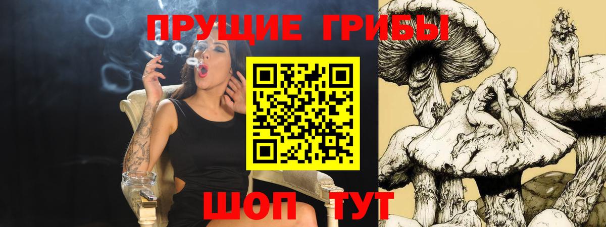 Галлюциногенные грибы Psilocybe Электрогорск